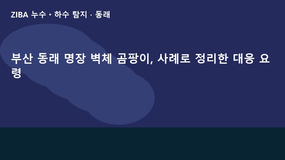 부산 동래 명장 벽체 곰팡이, 사례로 정리한 대응 요령