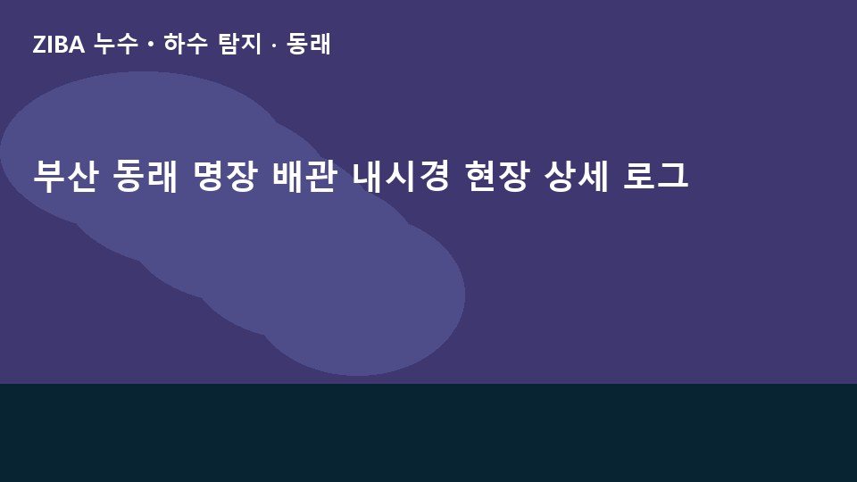 부산 동래 명장 배관 내시경 현장 상세 로그