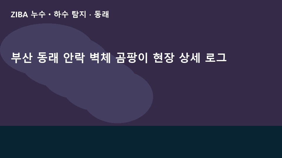 부산 동래 안락 벽체 곰팡이 현장 상세 로그