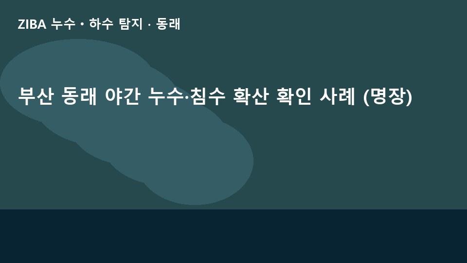 부산 동래 야간 누수·침수 확산 확인 사례 (명장)
